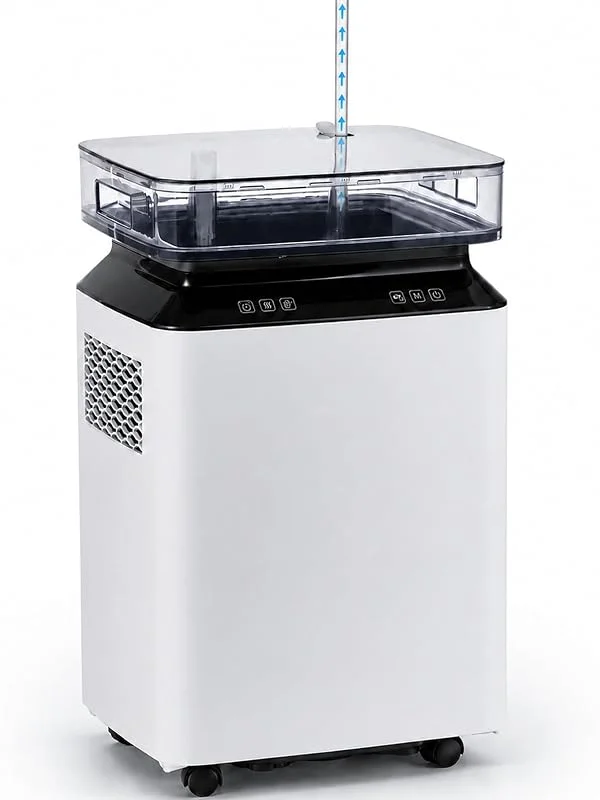 Deumidificatore Industriale Professionale Elettrico 80L, 24h Pompa